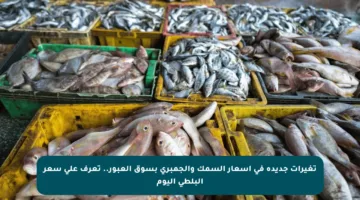 تغيرات جديدة في أسعار السمك والجمبري بسوق العبور.. تعرف على سعر البلطي اليوم